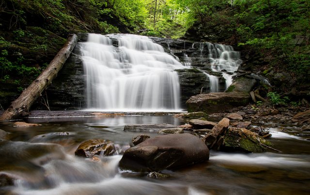 Logs and Falls