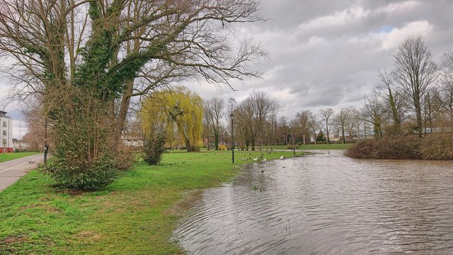 Parc de quartier