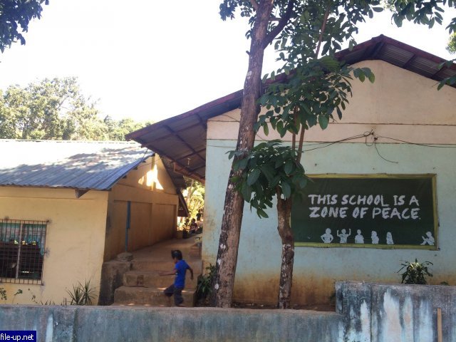 pineappleschool