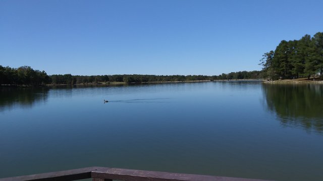 lake view from the doc.jpg