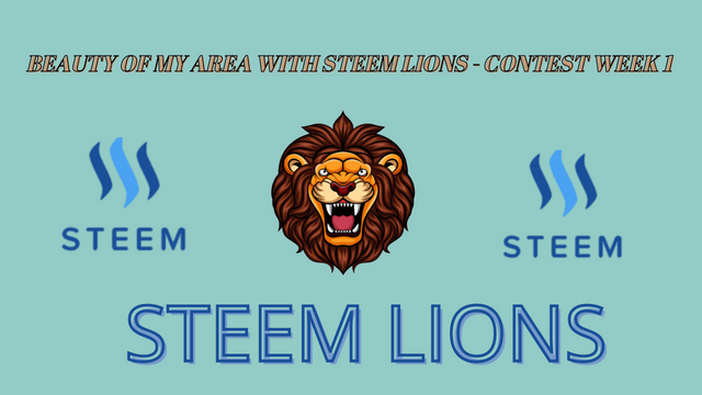 Steem Lions Contest.png