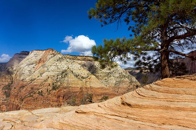 zion_park_utah_view_from_hill.jpg