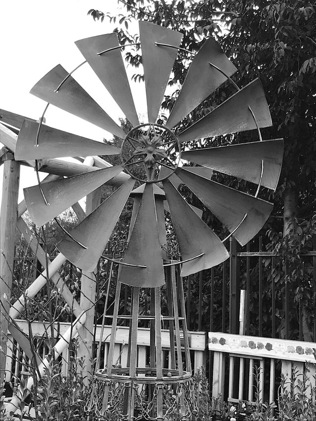 Windmill1Mono.JPG