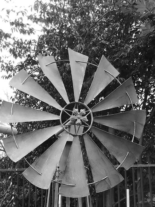 Windmill2Mono.JPG