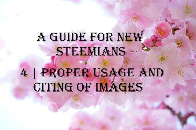 a guide for new steemians 4 proper usage and citing of images.jpg