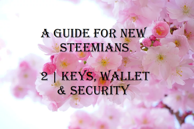 a guide for new steemians 2 keys wallet  security.png