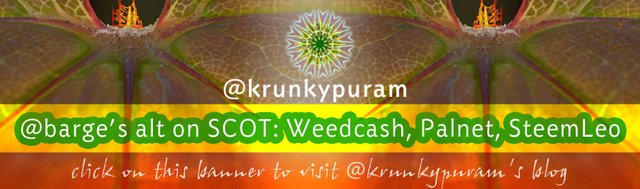 banner_krunkypuram.jpg