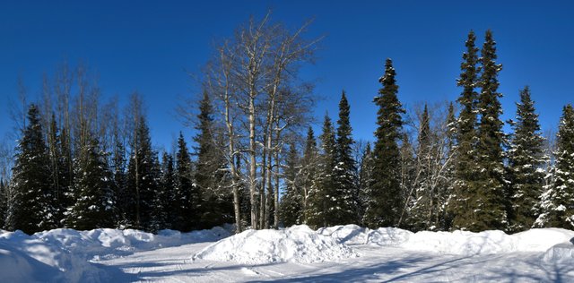 pano119_012 6 shots the circle resized upload.jpg