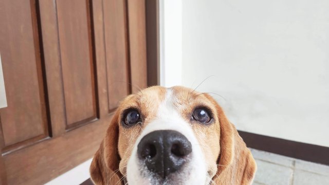 received_450845139121739.jpeg