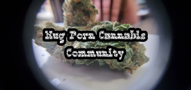 Nug porn community 3.jpg