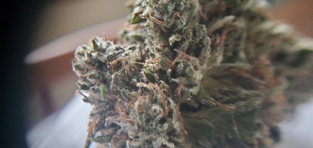 Hindu kush 4.jpg