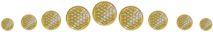 seed coin border.png