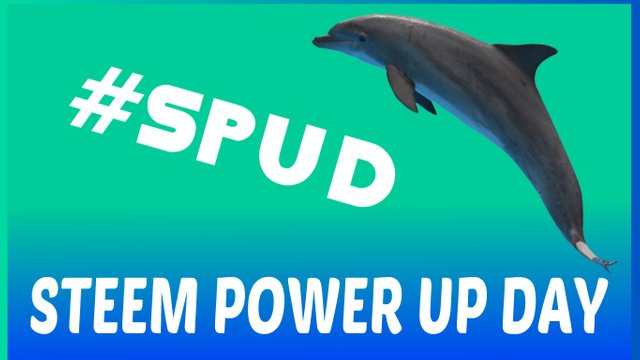 spud steem power up day.jpg