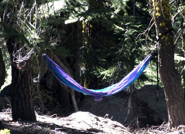 CT0081Hammock181104.jpg