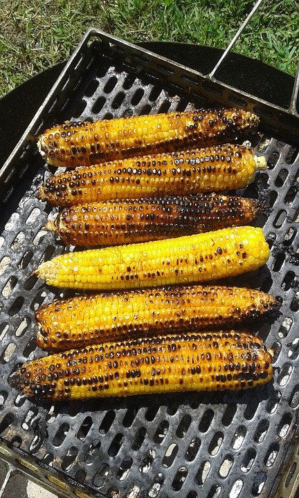 corn2704899_960_720.jpg