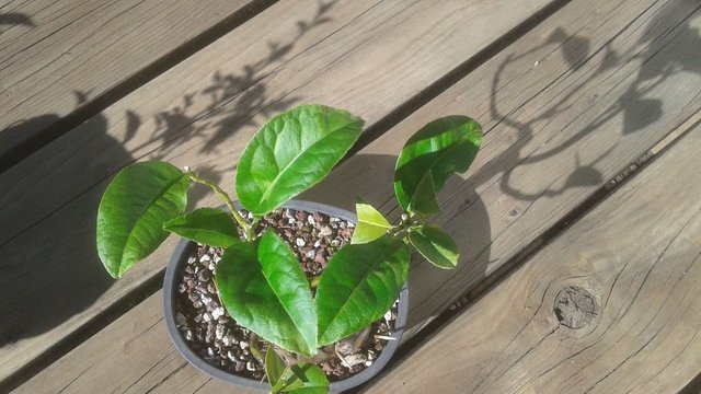 20190611_085133.jpg