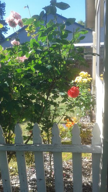 20190611_090415.jpg