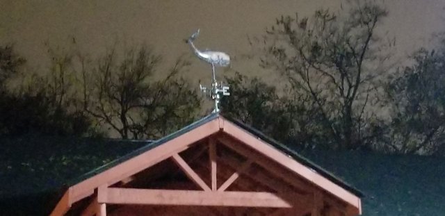20191107_195716  Whale weathervane at Moby Dicky's.jpg