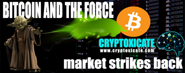 BITCOINMARKETFORCE__Cryptoxicate_com.png