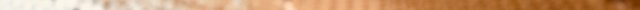 IMG_1999 2.jpeg