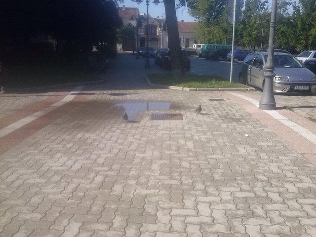 CAM01534.jpg