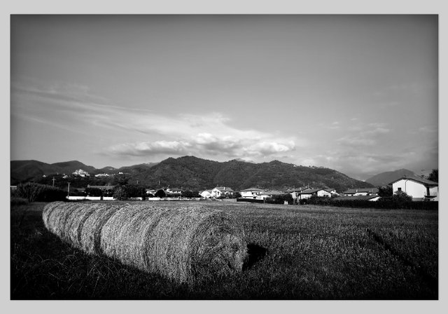 Rural_07Vignette.jpg