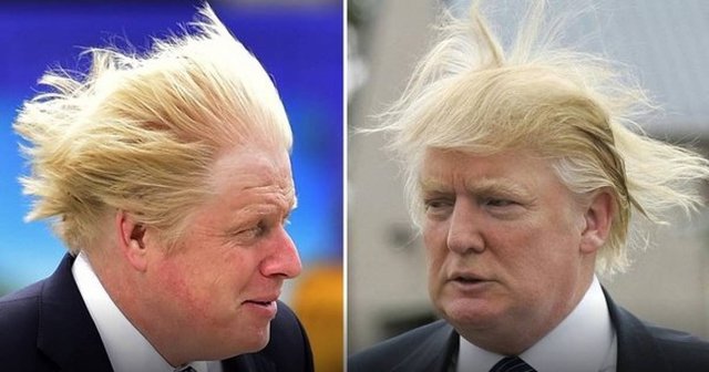 Trump and Boris hair.jpeg