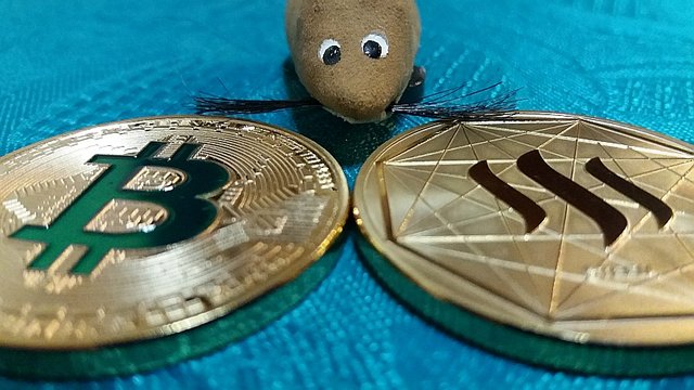 0014 Steem Bitcoin choice coins mouse.jpg