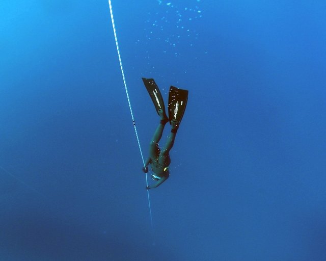 freediving 123.jpg