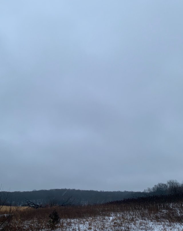 A8827DD9FAE841F09E5273F3B7D1F0A5.jpeg