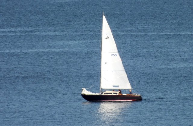 1015Sailboat.jpg