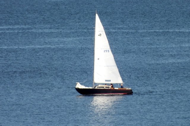 1029Sailboat.jpg