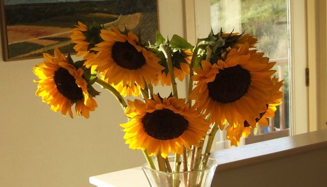 0887Sunflowers.jpg