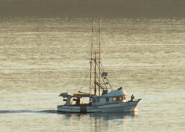 0430FishingBoat.jpg