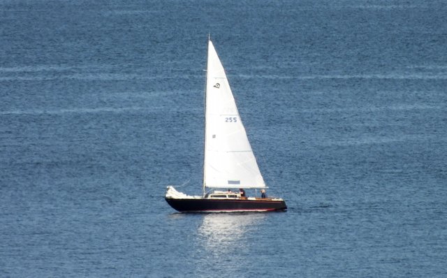 1006Sailboat.jpg