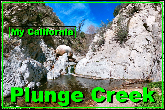 Plungecreek cover.png