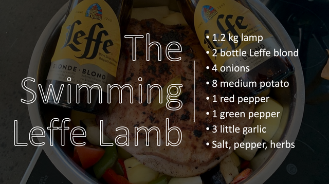 the swimming leffe lamb.png