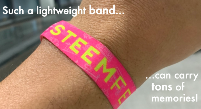 steemfest4  the band 1.png