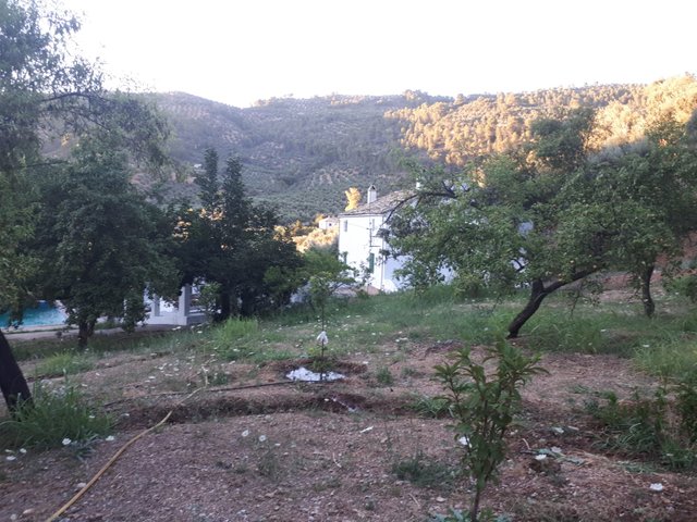 Cortijo25.jpg