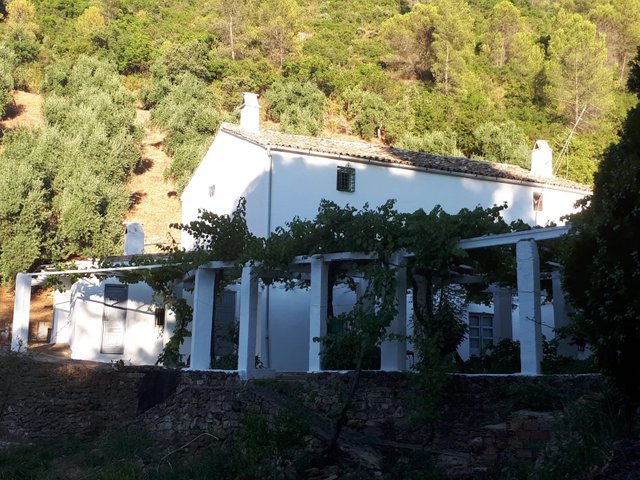 Cortijo2.jpg