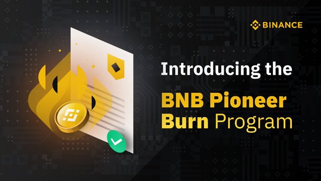 pioneer burn program.jpg