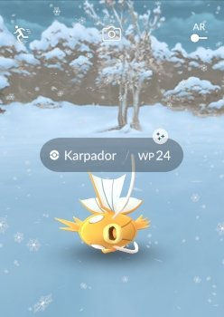 SnowKarpa.jpg