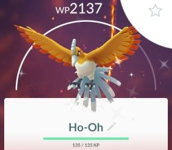 hoshiny.jpg