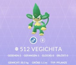 vegix.jpg