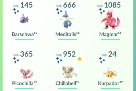 shiny.jpg