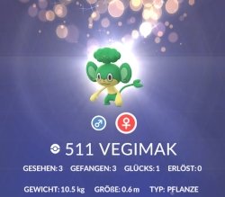 vegi.jpg