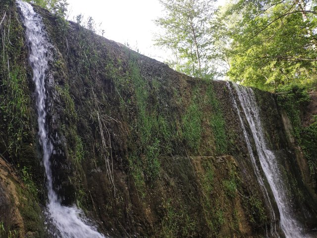 IMG_20200510_17461101.jpeg