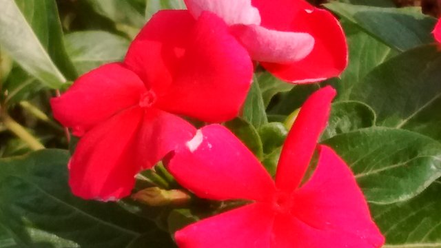 IMG_20180908_115313035.jpg
