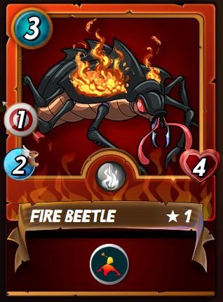 FIRE BEETLE.JPG