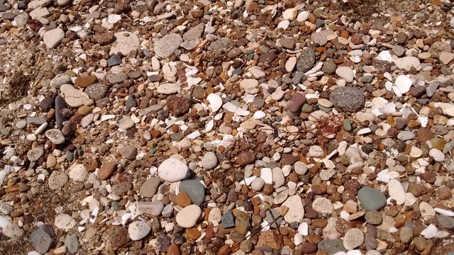 IMG_20180718_120217590.jpg